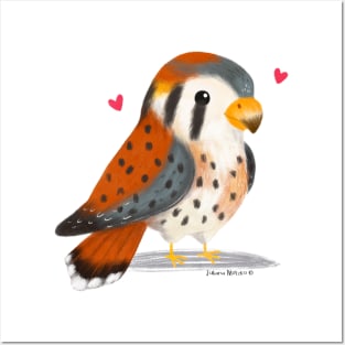 American Kestral Bird with hearts Posters and Art